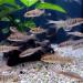 10 самых неприхотливых аквариумных рыбок