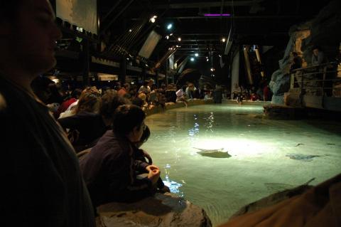 Генуэзский аквариум
