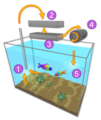 Как выбрать фильтр для аквариума?