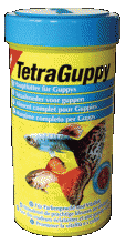 TetraGuppy